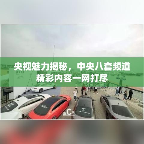 央视魅力揭秘，中央八套频道精彩内容一网打尽