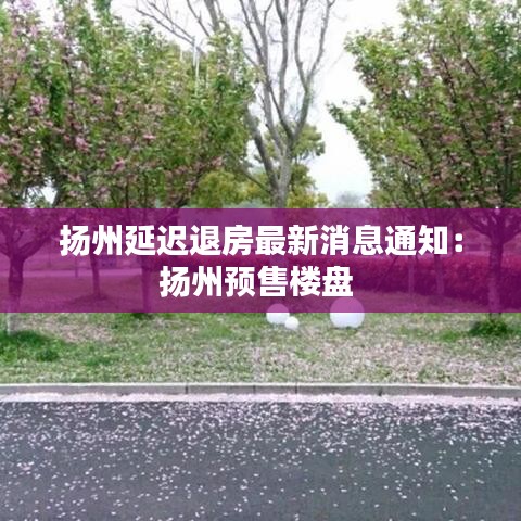 扬州延迟退房最新消息通知：扬州预售楼盘 