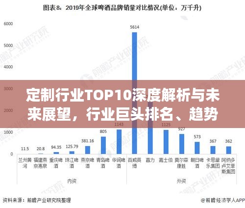 定制行业TOP10深度解析与未来展望，行业巨头排名、趋势展望一网打尽！