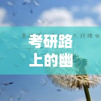 考研路上的幽默励志语录，笑中带学，激励前行！