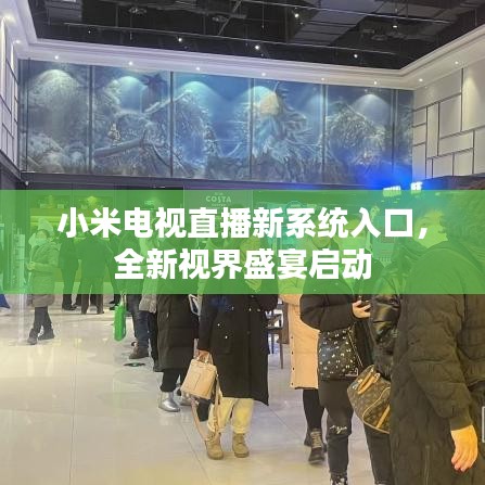 小米电视直播新系统入口，全新视界盛宴启动