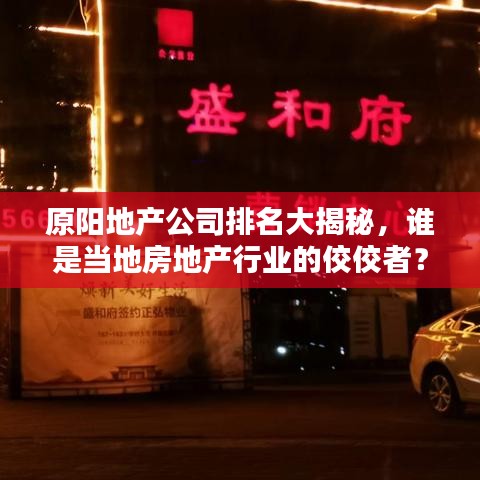 原阳地产公司排名大揭秘，谁是当地房地产行业的佼佼者？