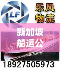 新加坡船运公司排名揭秘，权威榜单揭晓，谁居榜首？