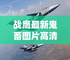 战鹰最新鬼畜图片高清视频：战鹰战斗机图片 