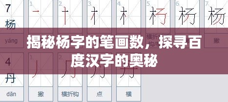 揭秘杨字的笔画数，探寻百度汉字的奥秘