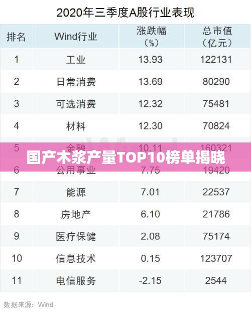 国产木浆产量TOP10榜单揭晓