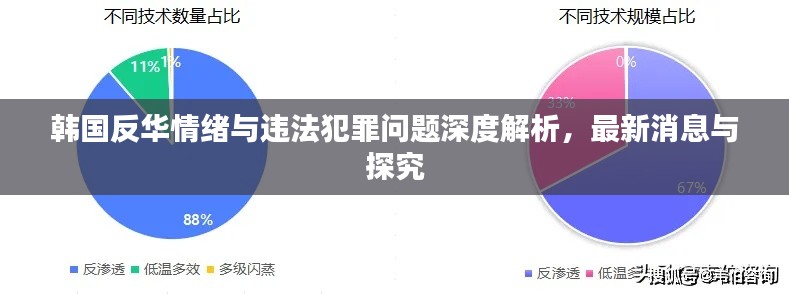 韩国反华情绪与违法犯罪问题深度解析，最新消息与探究