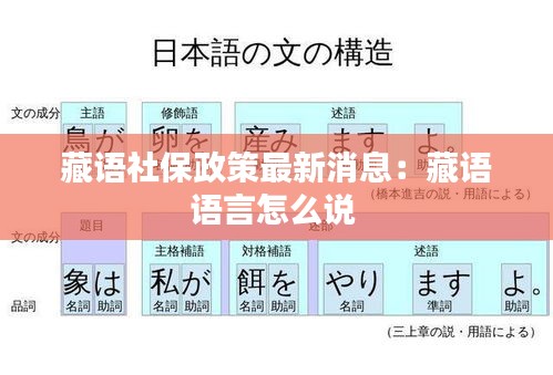 藏语社保政策最新消息：藏语语言怎么说 