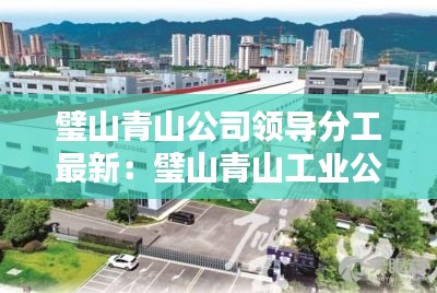 璧山青山公司领导分工最新：璧山青山工业公司 