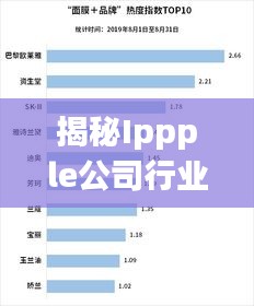 揭秘Ippple公司行业排名及影响力，洞悉其位置与实力！