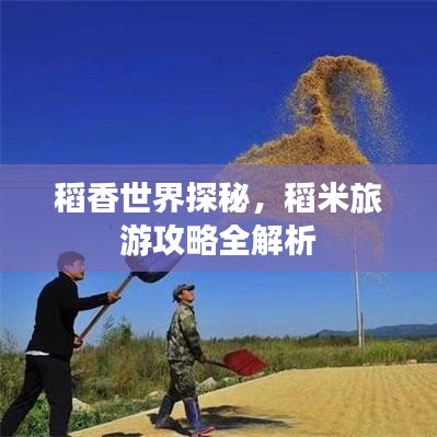 稻香世界探秘，稻米旅游攻略全解析