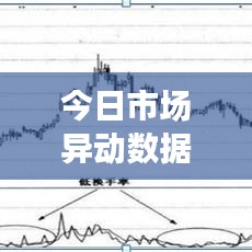 今日市场异动数据解析，最新消息与市场走势深度分析