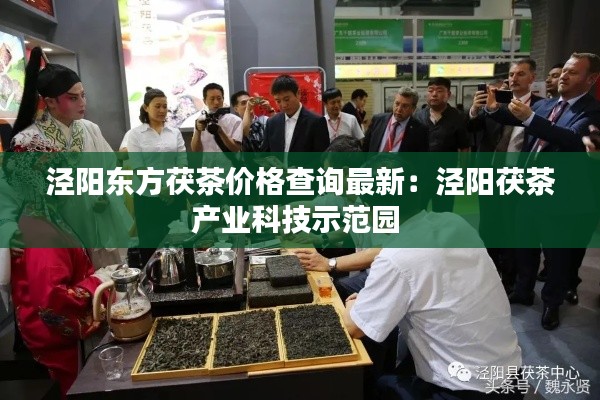 泾阳东方茯茶价格查询最新：泾阳茯茶产业科技示范园 