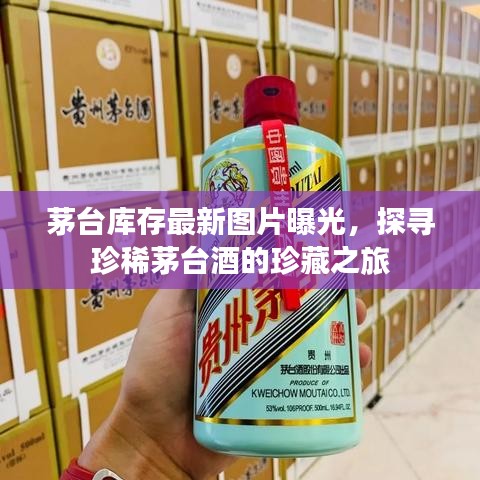 茅台库存最新图片曝光，探寻珍稀茅台酒的珍藏之旅