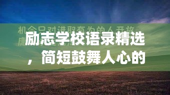 励志学校语录精选，简短鼓舞人心的话语