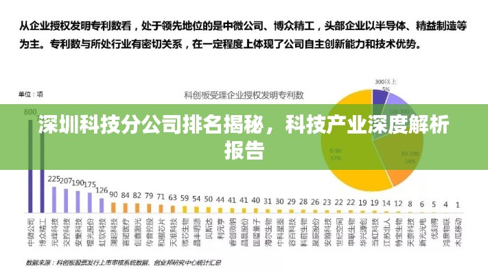 深圳科技分公司排名揭秘，科技产业深度解析报告