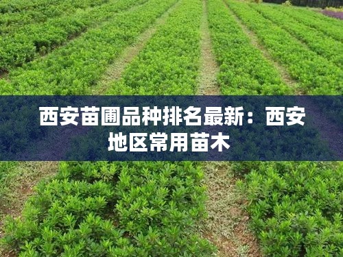 西安苗圃品种排名最新：西安地区常用苗木 