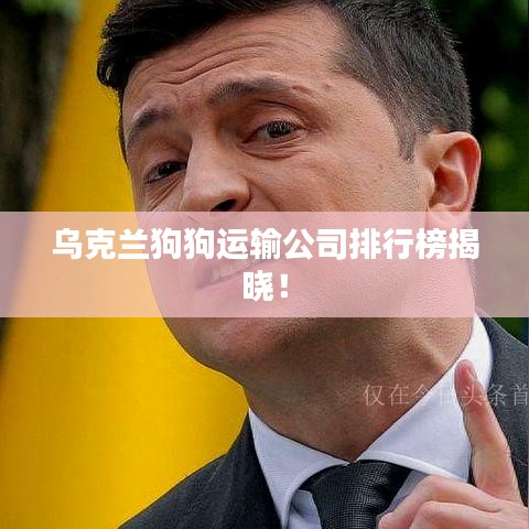 乌克兰狗狗运输公司排行榜揭晓！