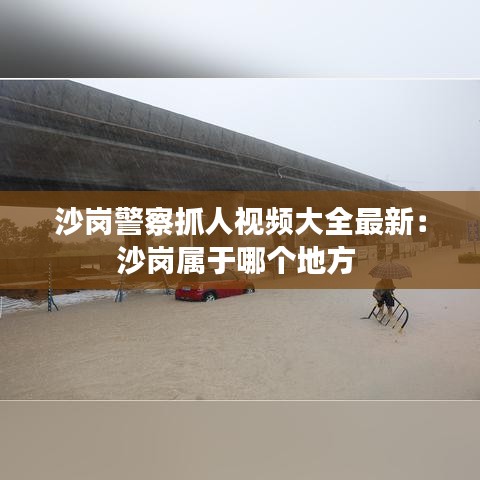 沙岗警察抓人视频大全最新：沙岗属于哪个地方 