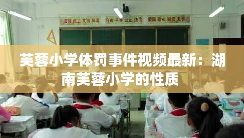 芙蓉小学体罚事件视频最新：湖南芙蓉小学的性质 