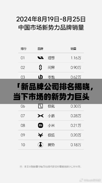 「新品牌公司排名揭晓，当下市场的新势力巨头」