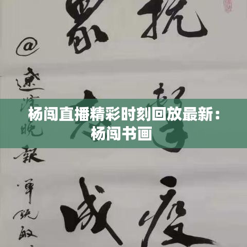 杨闯直播精彩时刻回放最新：杨闯书画 