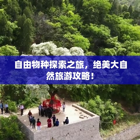 自由物种探索之旅，绝美大自然旅游攻略！