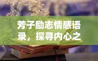 芳子励志情感语录，探寻内心之光，汇聚无穷力量