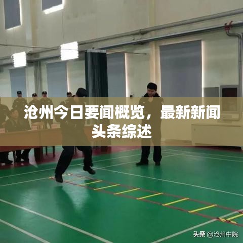 沧州今日要闻概览，最新新闻头条综述