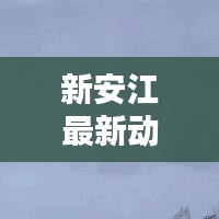 新安江最新动态速递