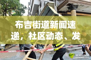 布吉街道新闻速递，社区动态、发展更新全掌握