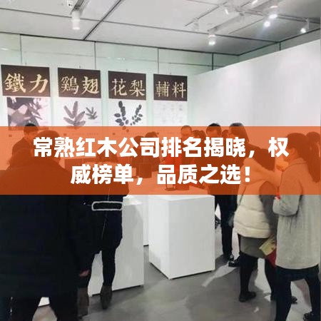 常熟红木公司排名揭晓，权威榜单，品质之选！