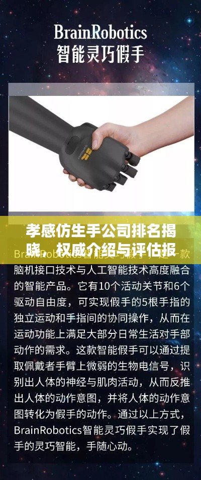 孝感仿生手公司排名揭晓，权威介绍与评估报告