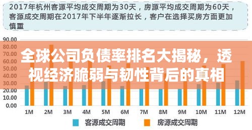 全球公司负债率排名大揭秘，透视经济脆弱与韧性背后的真相