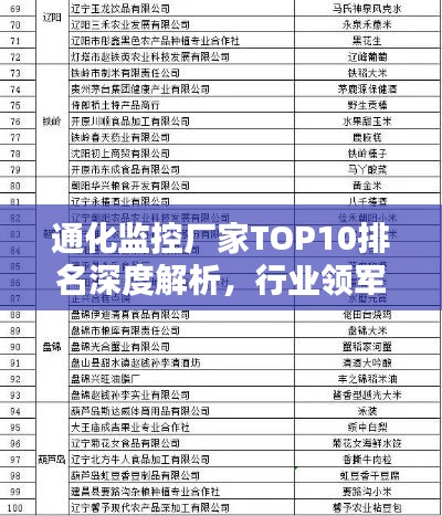 通化监控厂家TOP10排名深度解析，行业领军者的崛起与优势