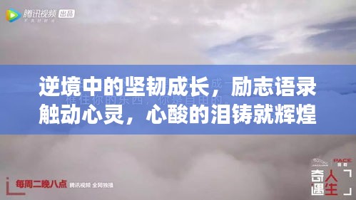 逆境中的坚韧成长，励志语录触动心灵，心酸的泪铸就辉煌人生