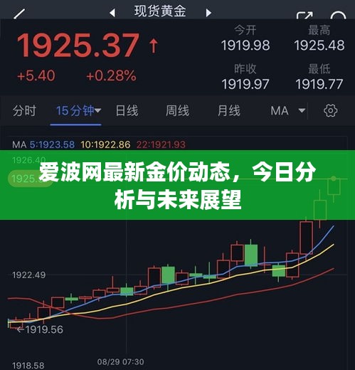 爱波网最新金价动态，今日分析与未来展望