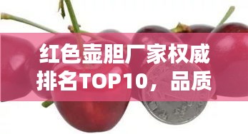 红色壶胆厂家权威排名TOP10，品质卓越获百度推荐！