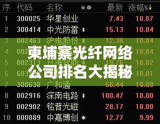 柬埔寨光纤网络公司排名大揭秘，谁是行业领头羊？