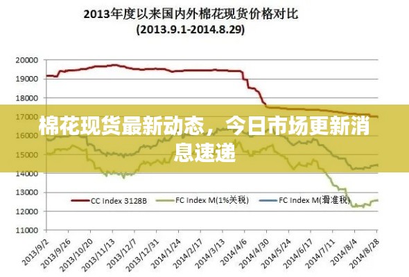 棉花现货最新动态，今日市场更新消息速递