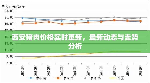 西安猪肉价格实时更新，最新动态与走势分析