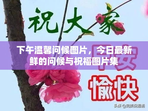 下午温馨问候图片，今日最新鲜的问候与祝福图片集