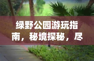 绿野公园游玩指南，秘境探秘，尽享自然盛宴！