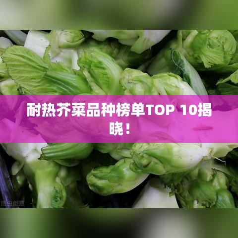 耐热芥菜品种榜单TOP 10揭晓！