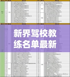 新界驾校教练名单最新公示，全方位了解教练团队