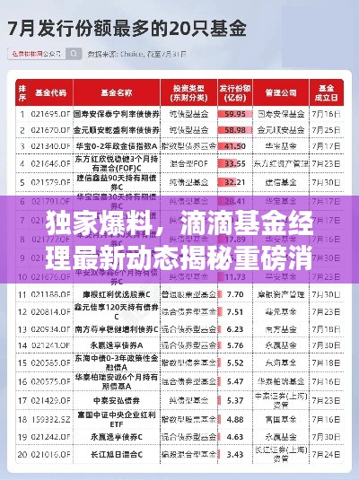 独家爆料，滴滴基金经理最新动态揭秘重磅消息！