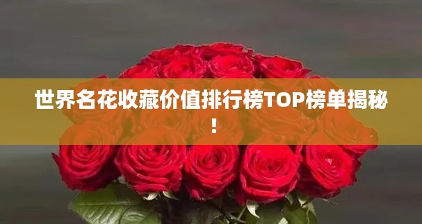 世界名花收藏价值排行榜TOP榜单揭秘！