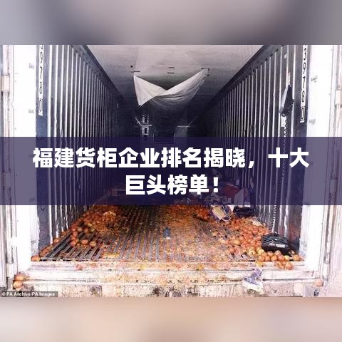 福建货柜企业排名揭晓，十大巨头榜单！