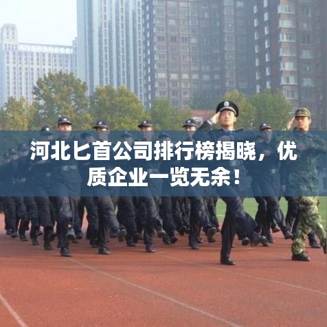 河北匕首公司排行榜揭晓，优质企业一览无余！