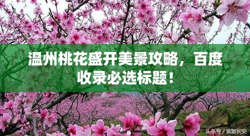 温州桃花盛开美景攻略，百度收录必选标题！